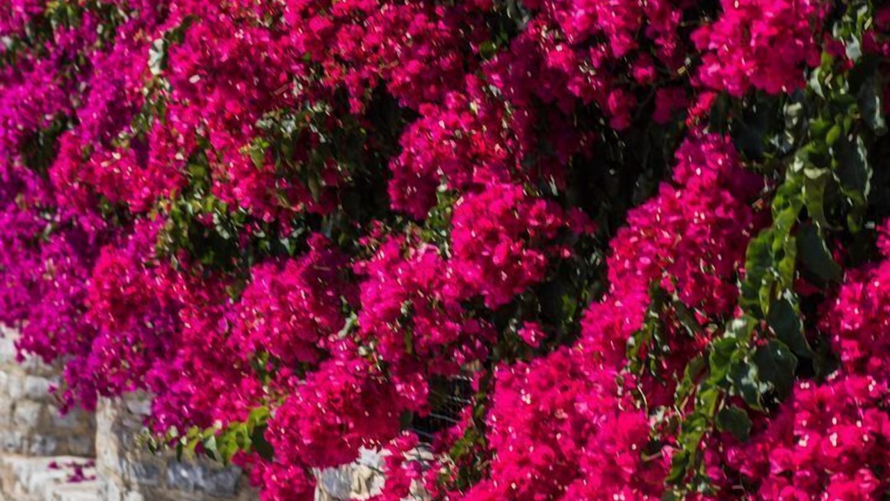 Photo of Outdoor in Symi