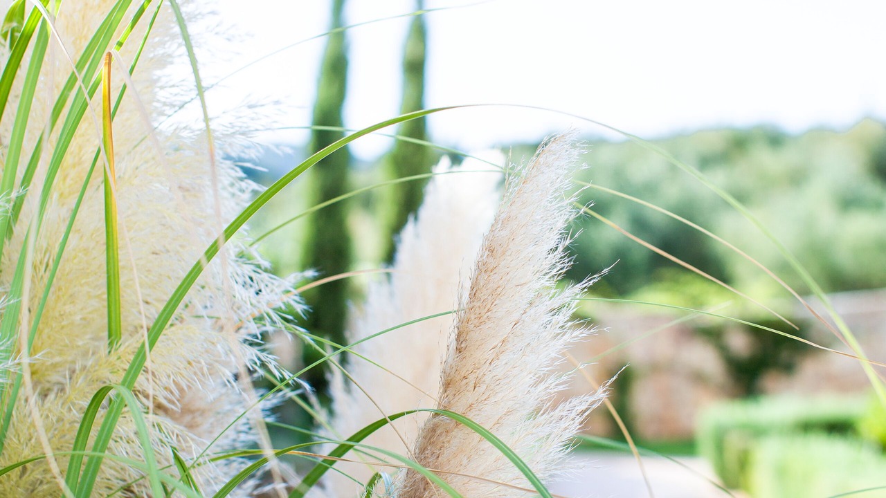 Photo of Outdoor in Aipeia