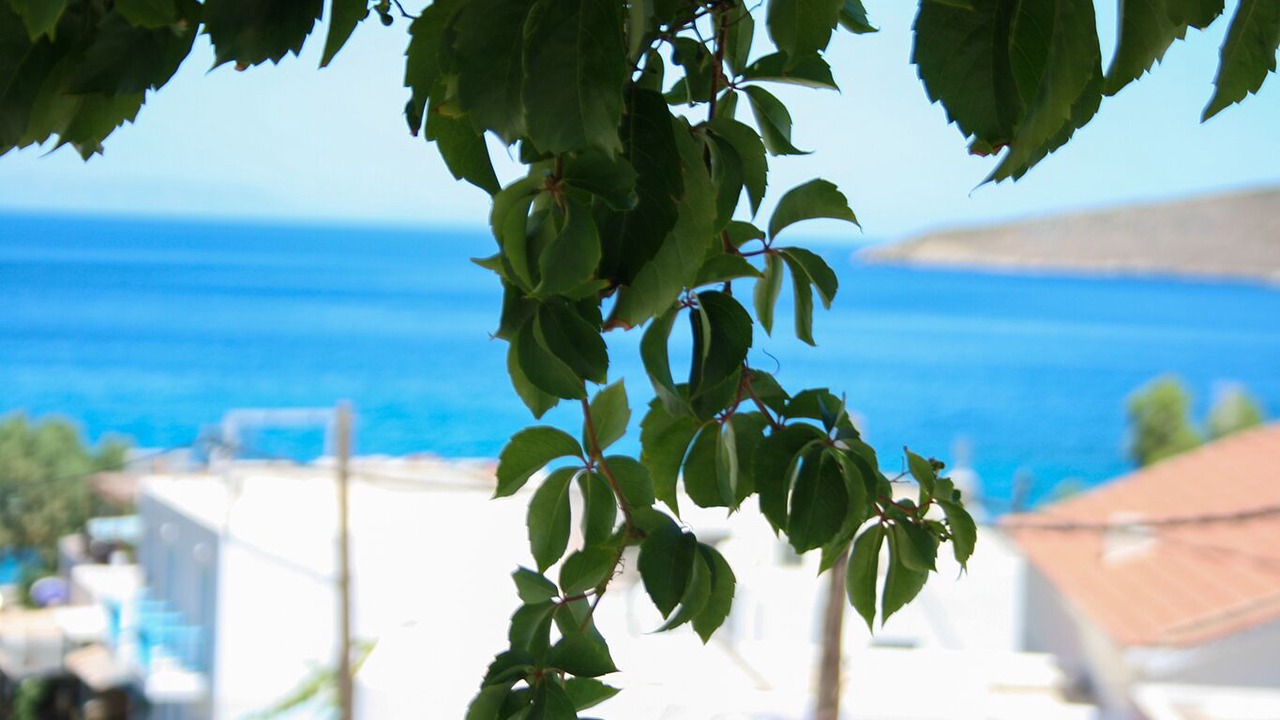 Photo of Others in Tilos