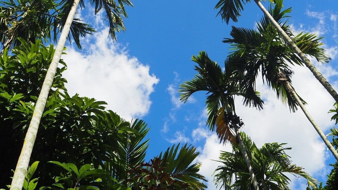 Photo of Outdoor in Kathu
