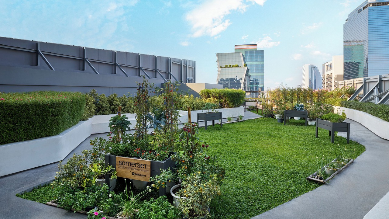 Photo of Outdoor in Rama 9
