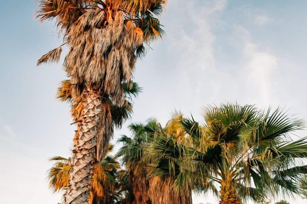 Photo of Outdoor in Agios Ioannis