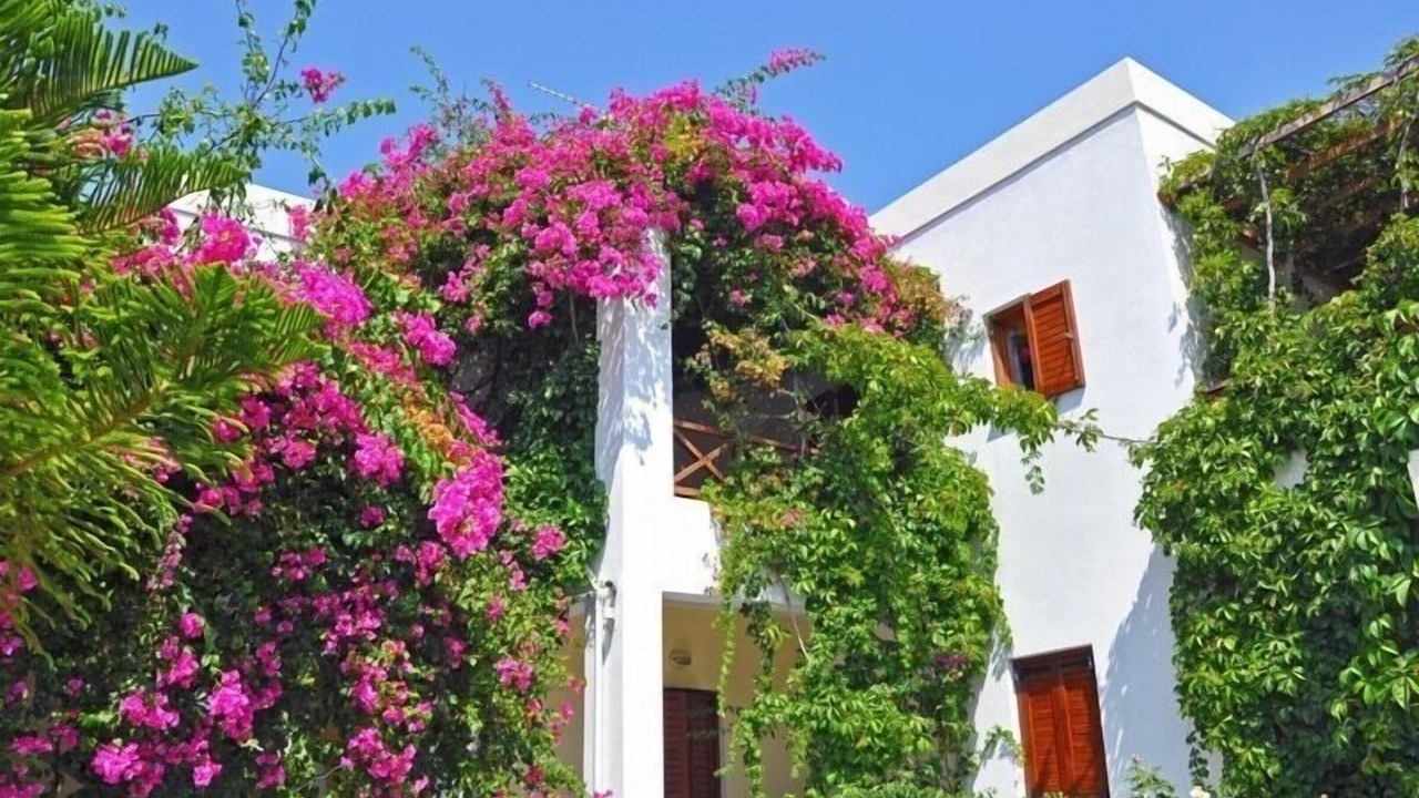Photo of Outdoor in Galissas
