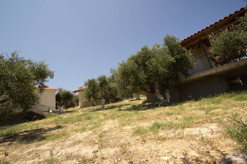 Photo of Outdoor in Pylos-Nestoras