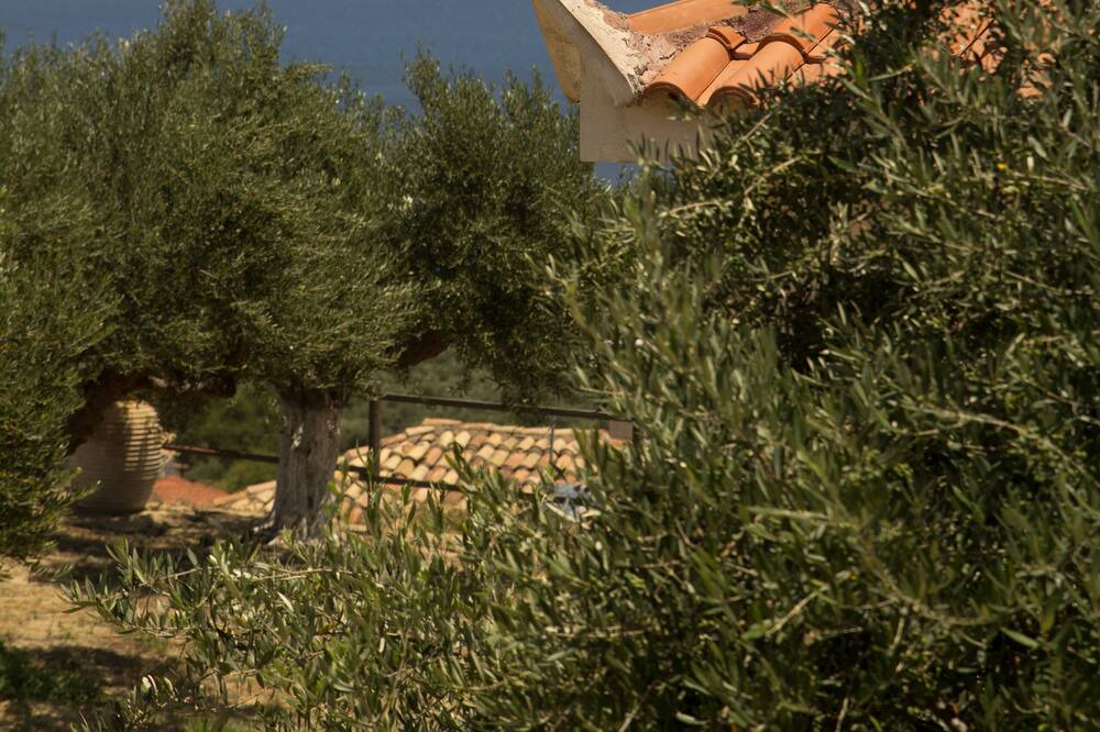 Photo of Others in Pylos-Nestoras