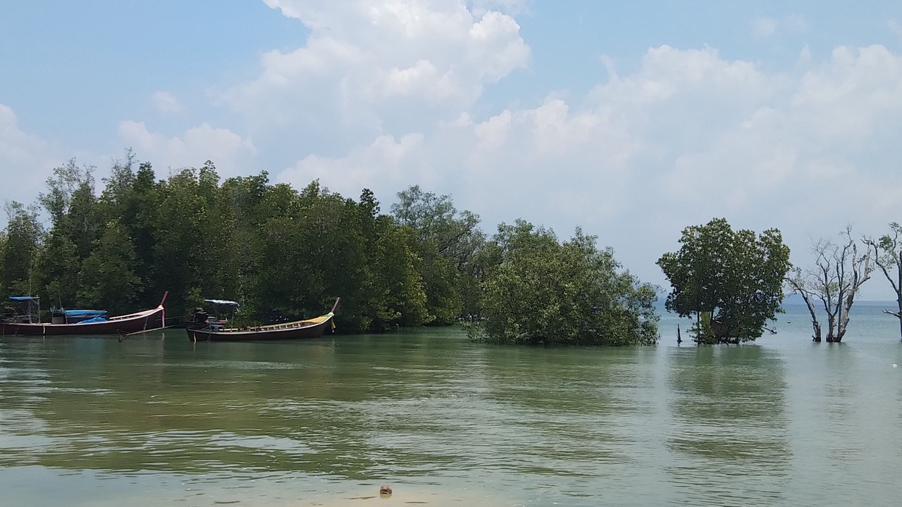 Photo of Outdoor in Ko Mook