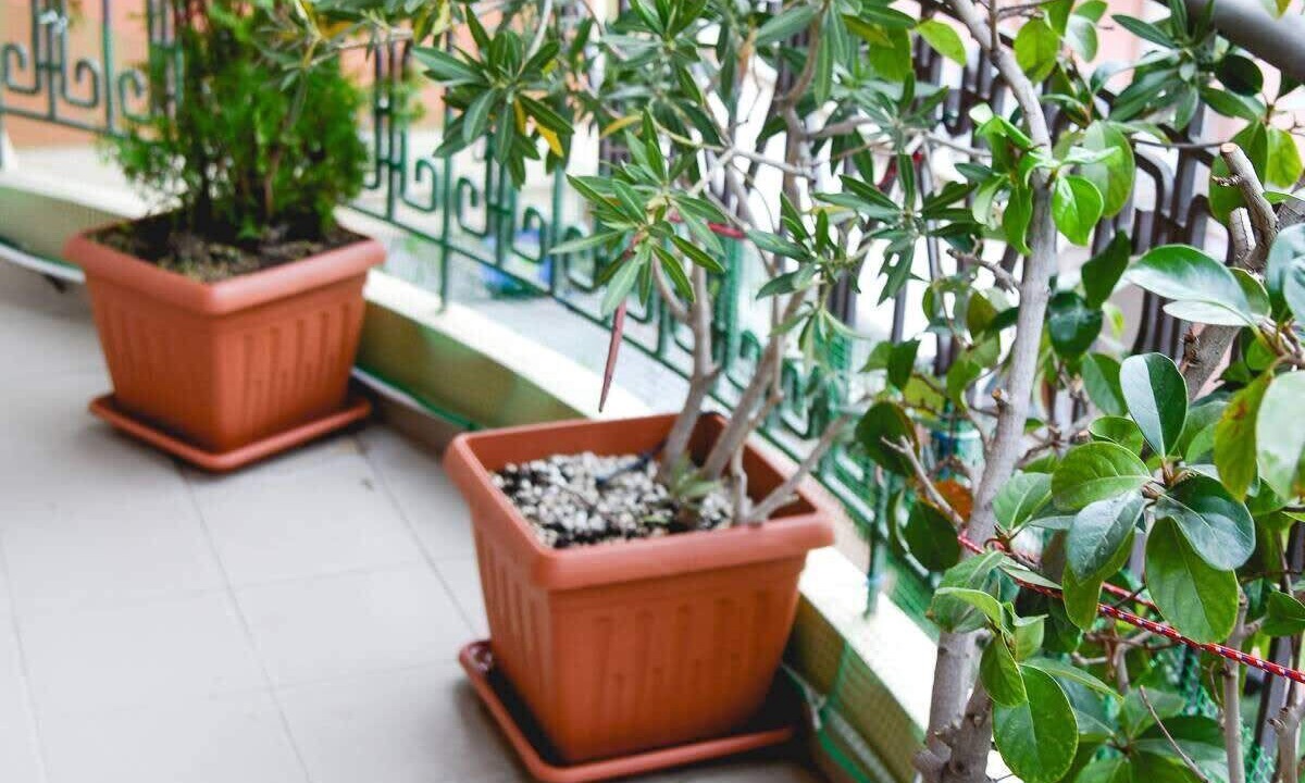 Photo of Outdoor in Kaisariani