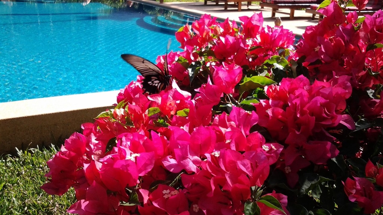 Photo of Outdoor in Mae Nam