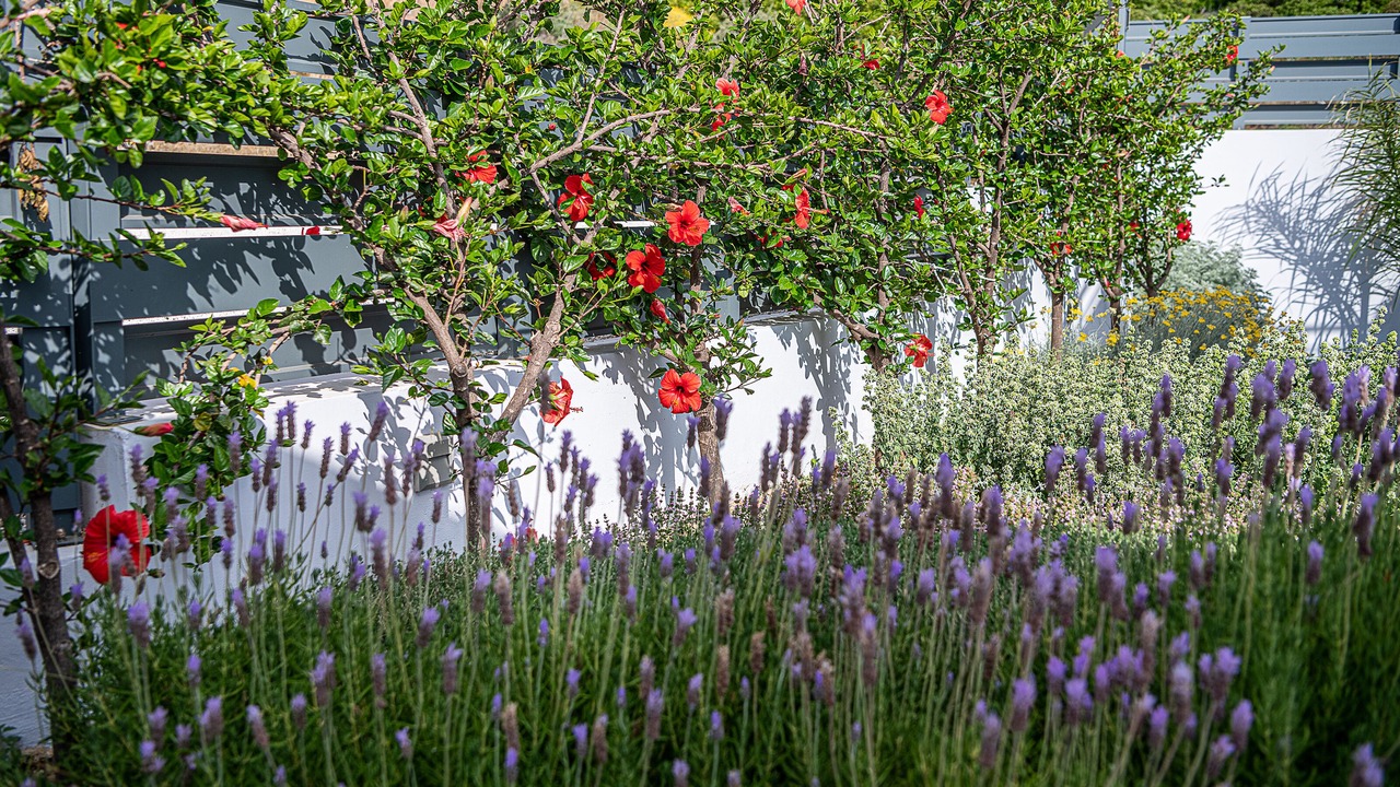 Photo of Outdoor in Livadia