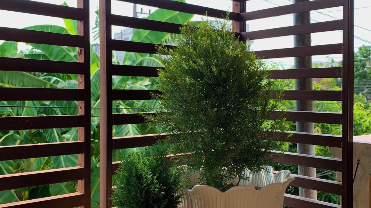 Photo of Outdoor in Wieng
