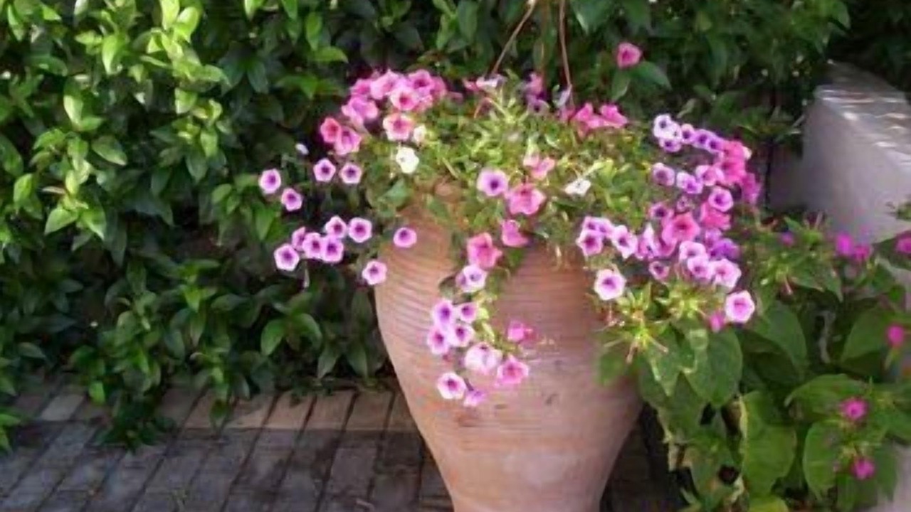 Photo of Outdoor in Afytos