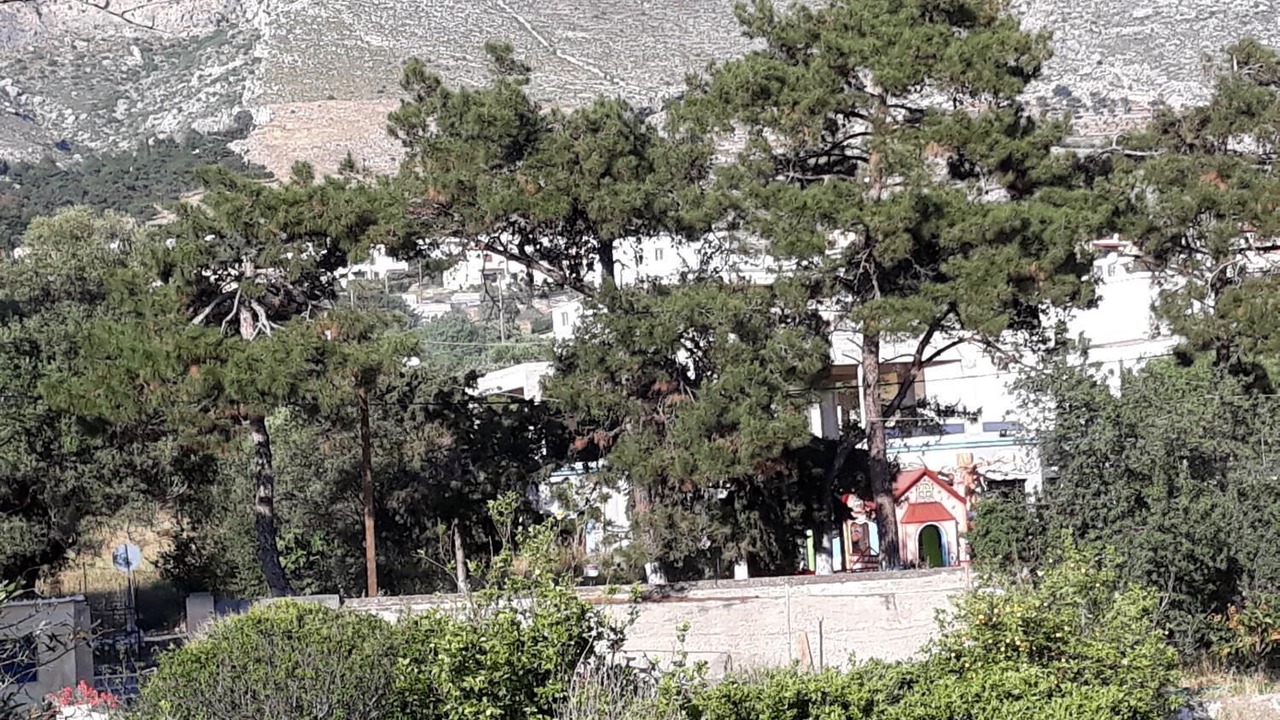 Photo of Outdoor in Panormos