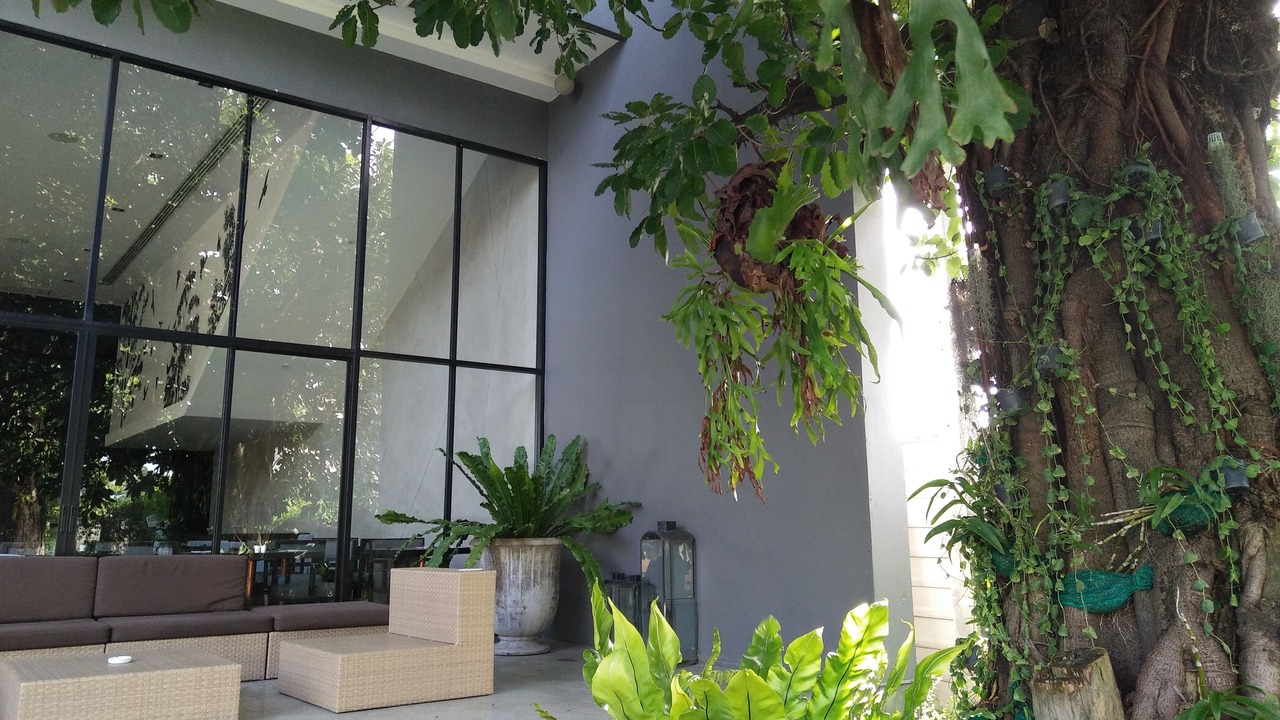 Photo of Outdoor in Racha Thewa