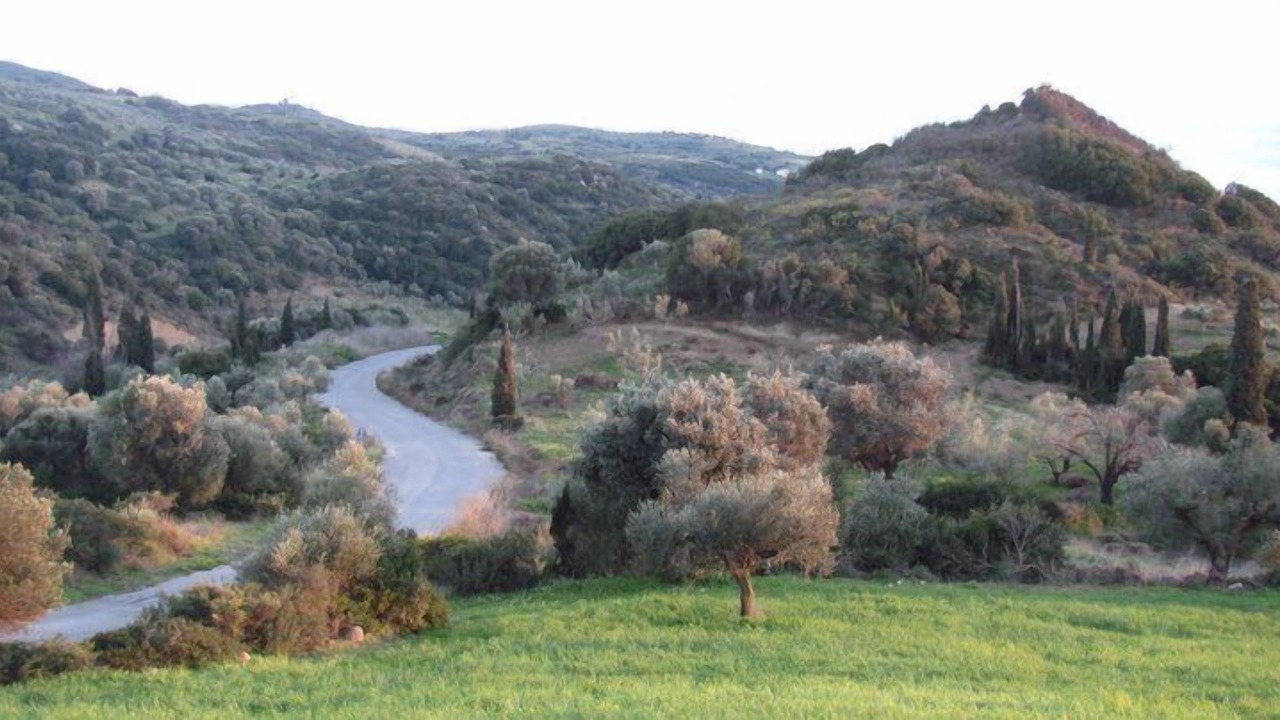 Photo of Others in Foinikounta