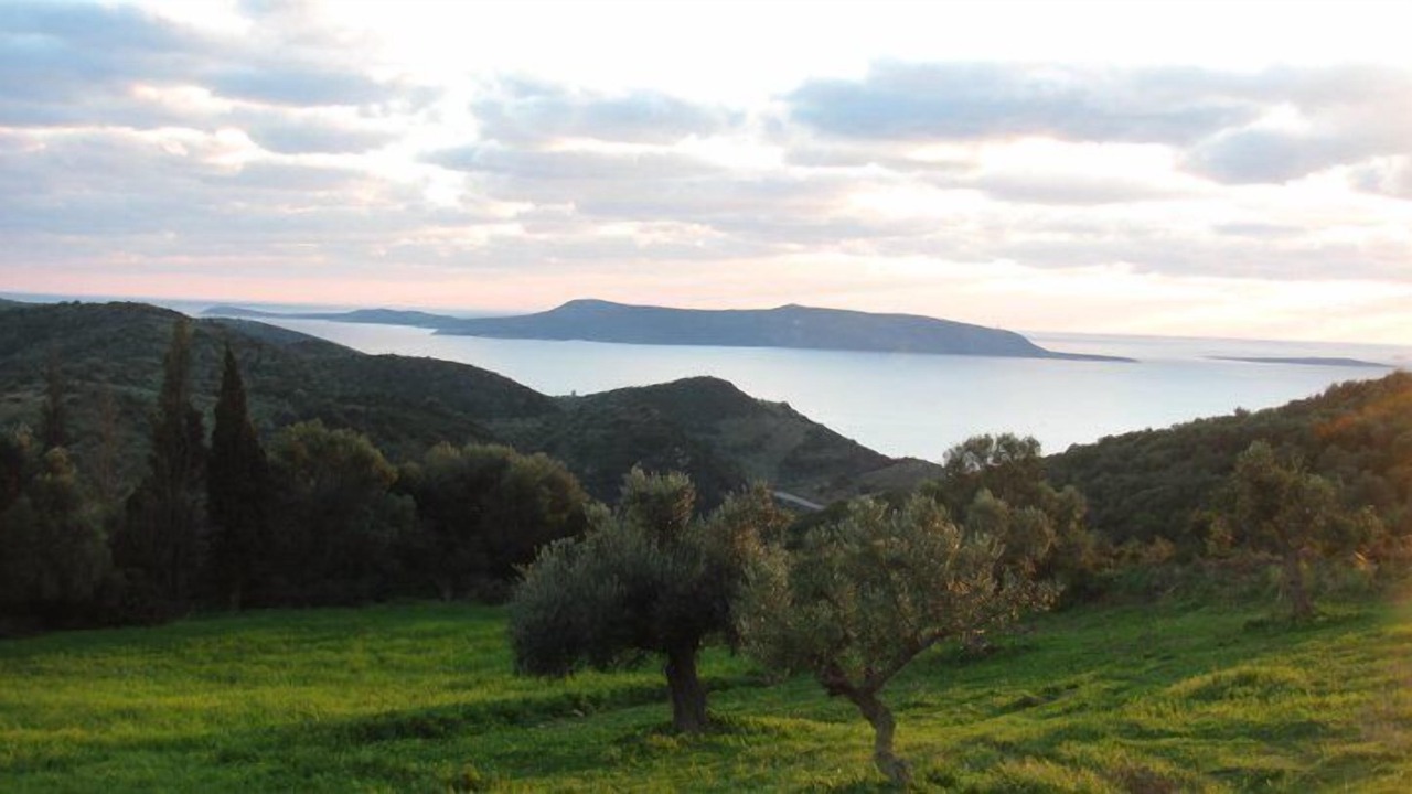 Photo of Others in Foinikounta
