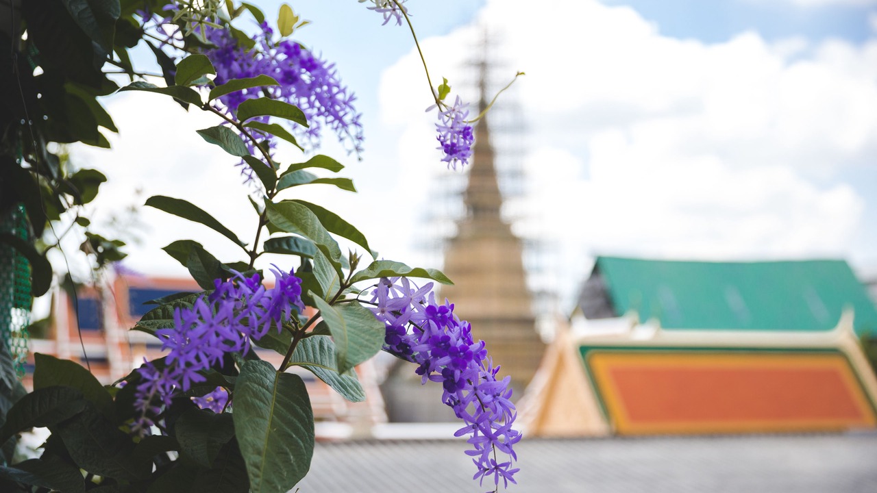 Photo of Others in Wat Ratchabophit