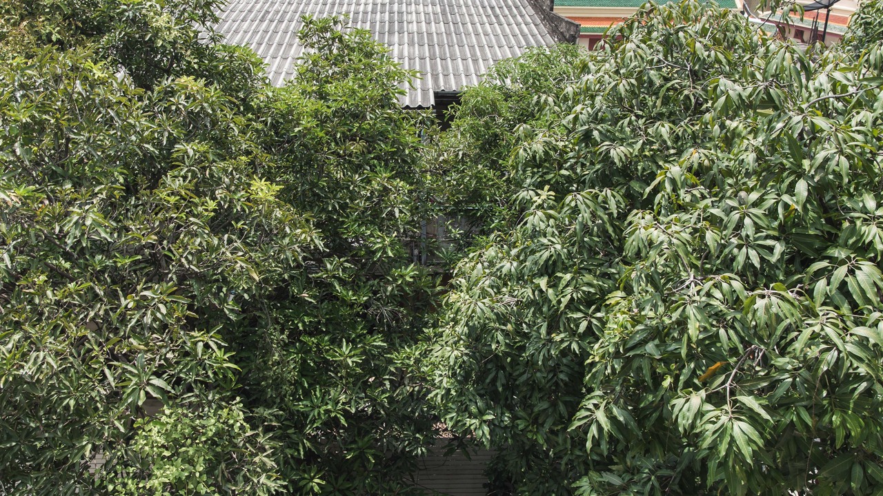 Photo of Others in Wat Ratchabophit