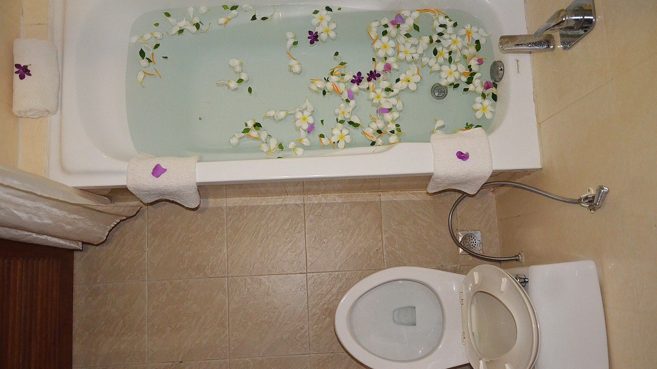 Photo of Bathroom in Taphul Village Area
