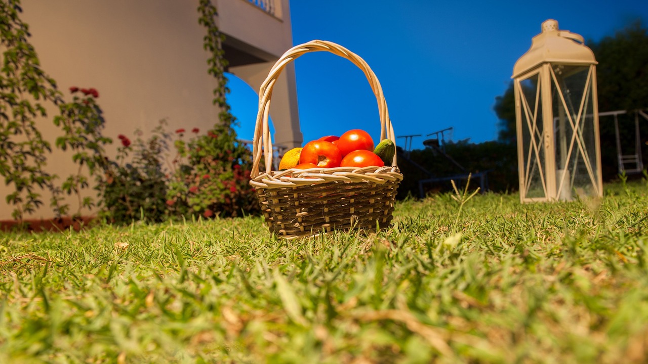 Photo of Outdoor in Psarou