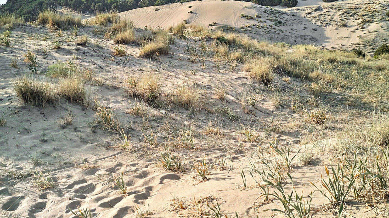 Photo of Outdoor in Lakopetra