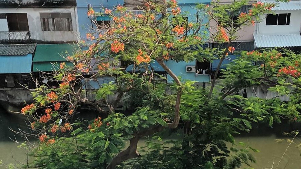 Photo of Bedroom in Ban Phan Thom