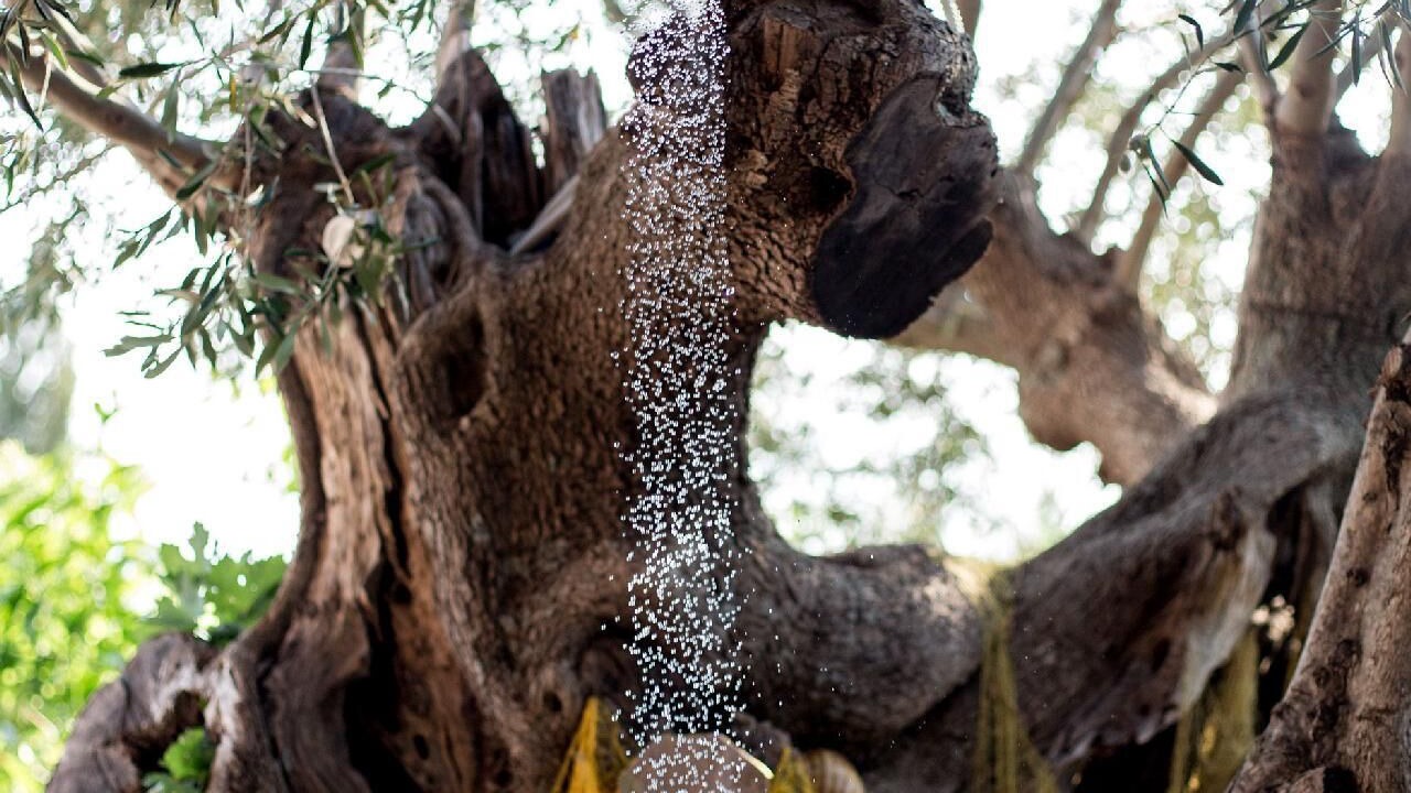 Photo of Outdoor in Skinaria