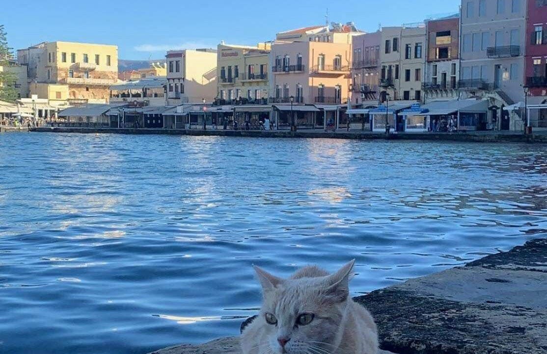 Photo of Outdoor in Old Town