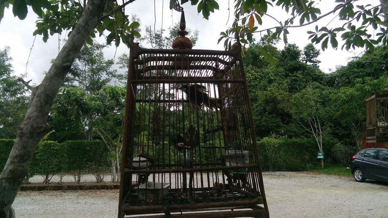 Photo of Others in Trang