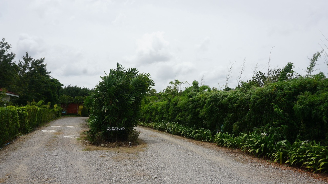 Photo of Outdoor in Trang