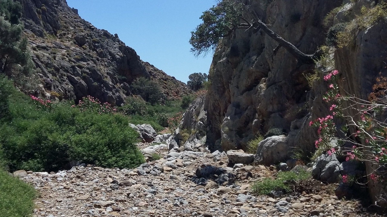 Photo of Outdoor in Kato Zakros