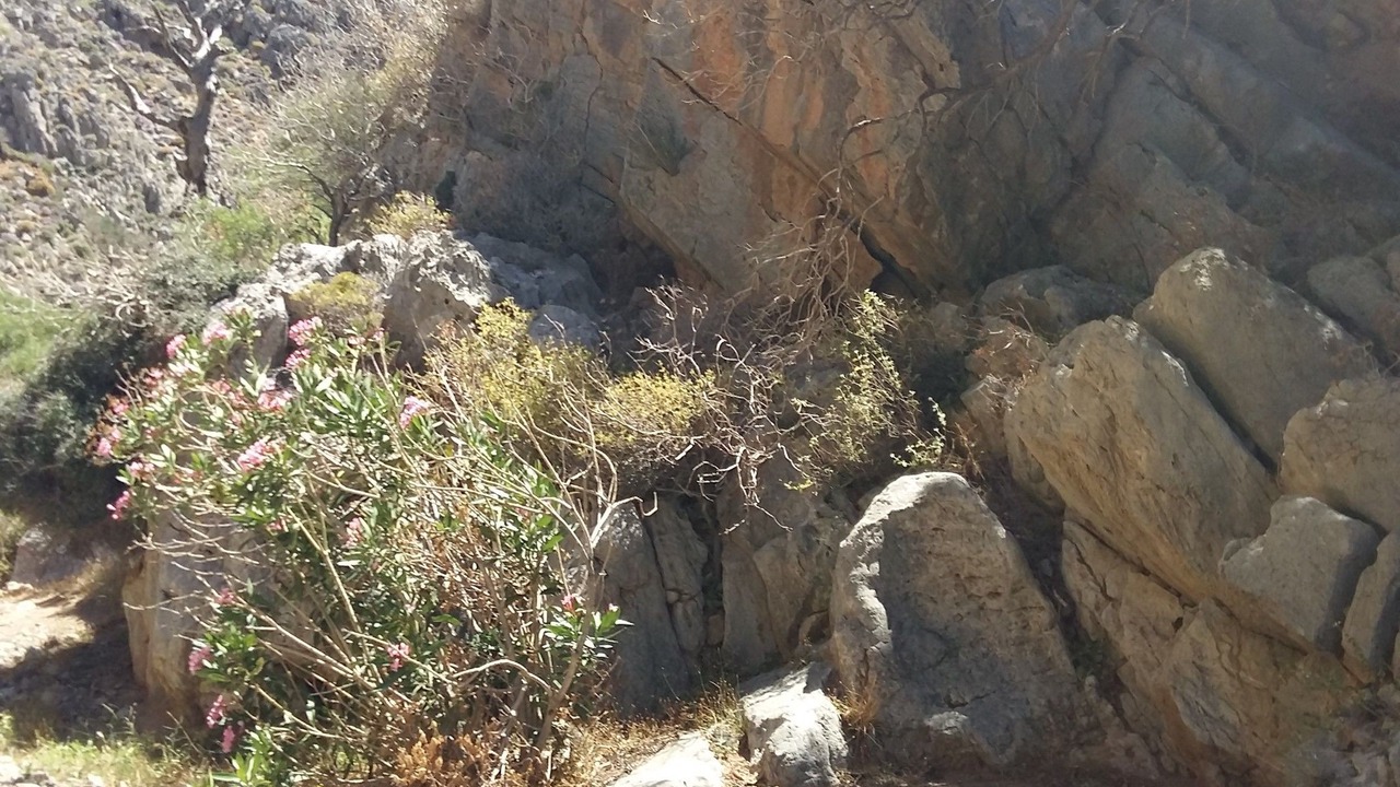 Photo of Outdoor in Kato Zakros