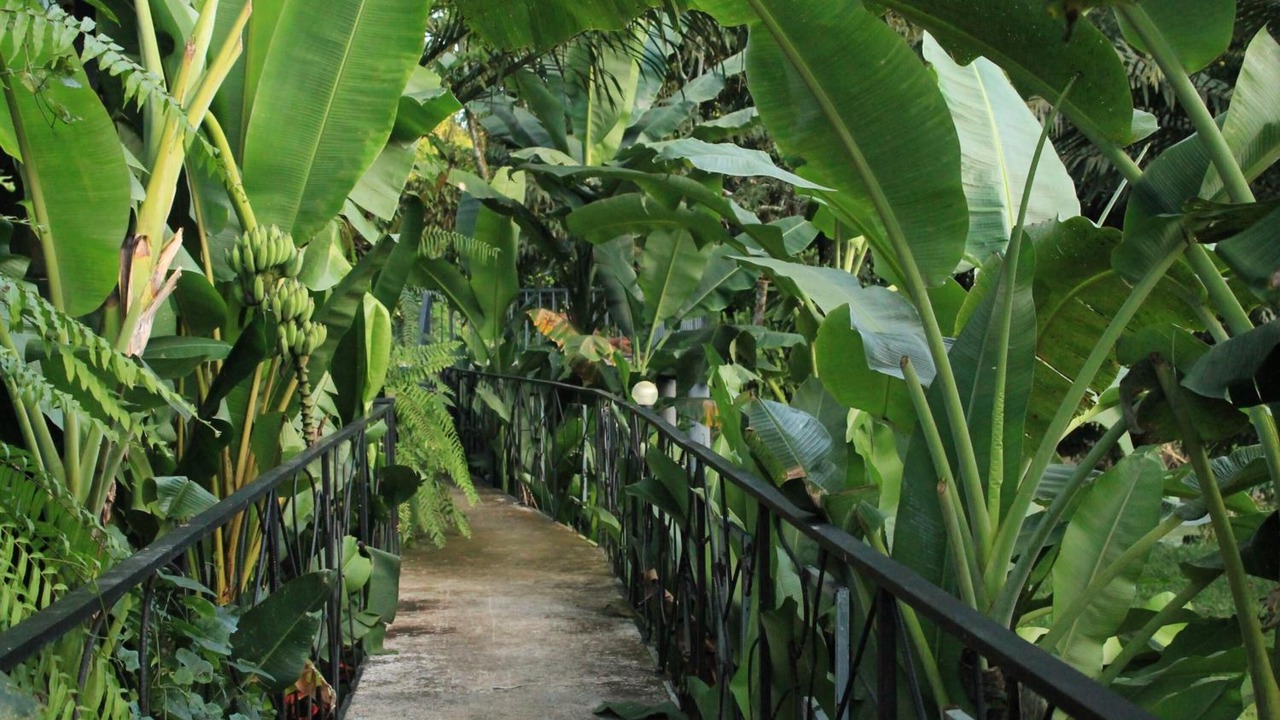 Photo of Outdoor in Khlong Sok