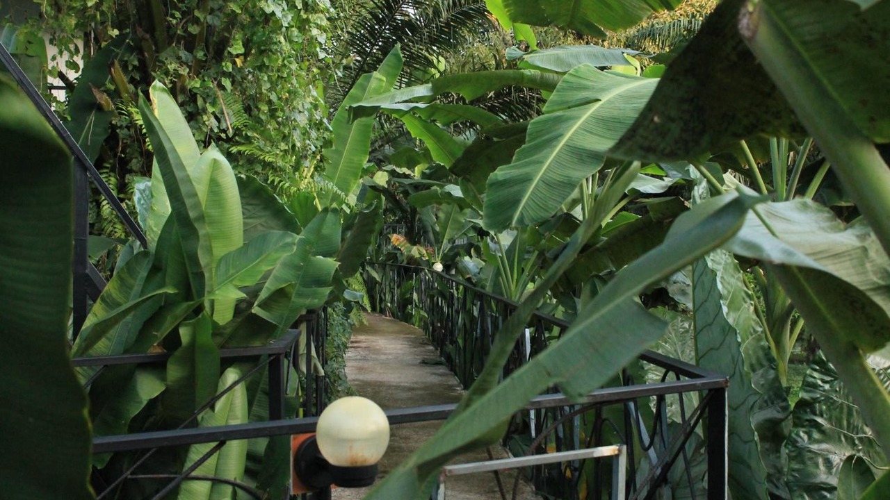 Photo of Outdoor in Khlong Sok