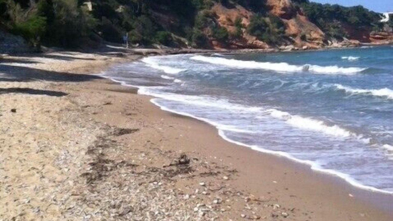 Photo of Others in Rafina-Pikermi