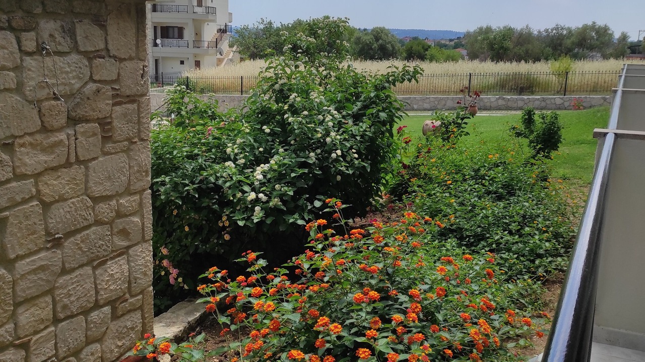 Photo of Outdoor in Afytos