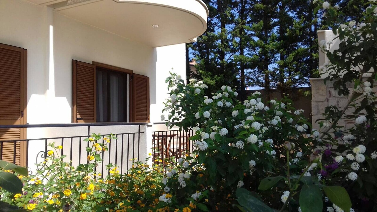 Photo of Outdoor in Afytos