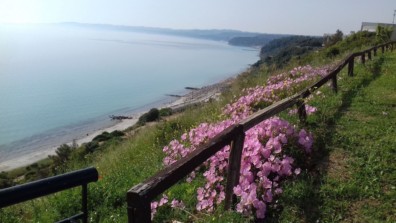 Photo of Outdoor in Afytos