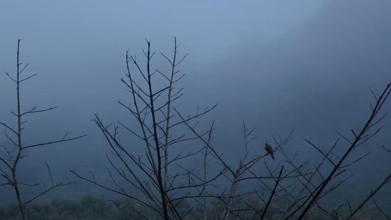 Photo of Others in Samoeng