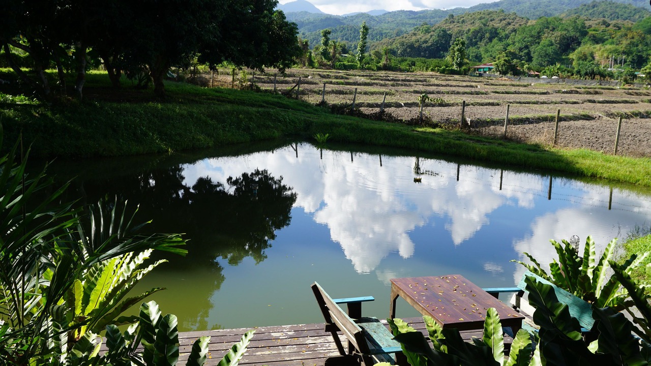 Photo of Outdoor in Fang