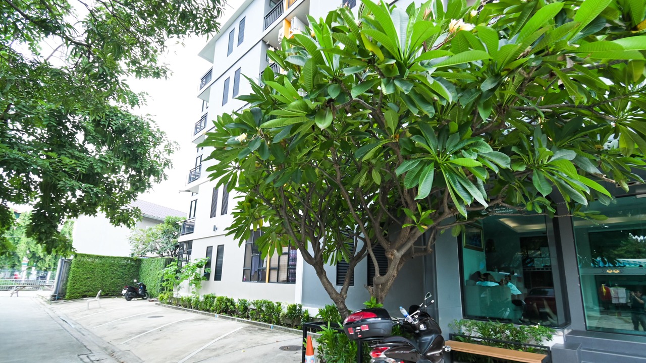 Photo of Others in Samsen Nok