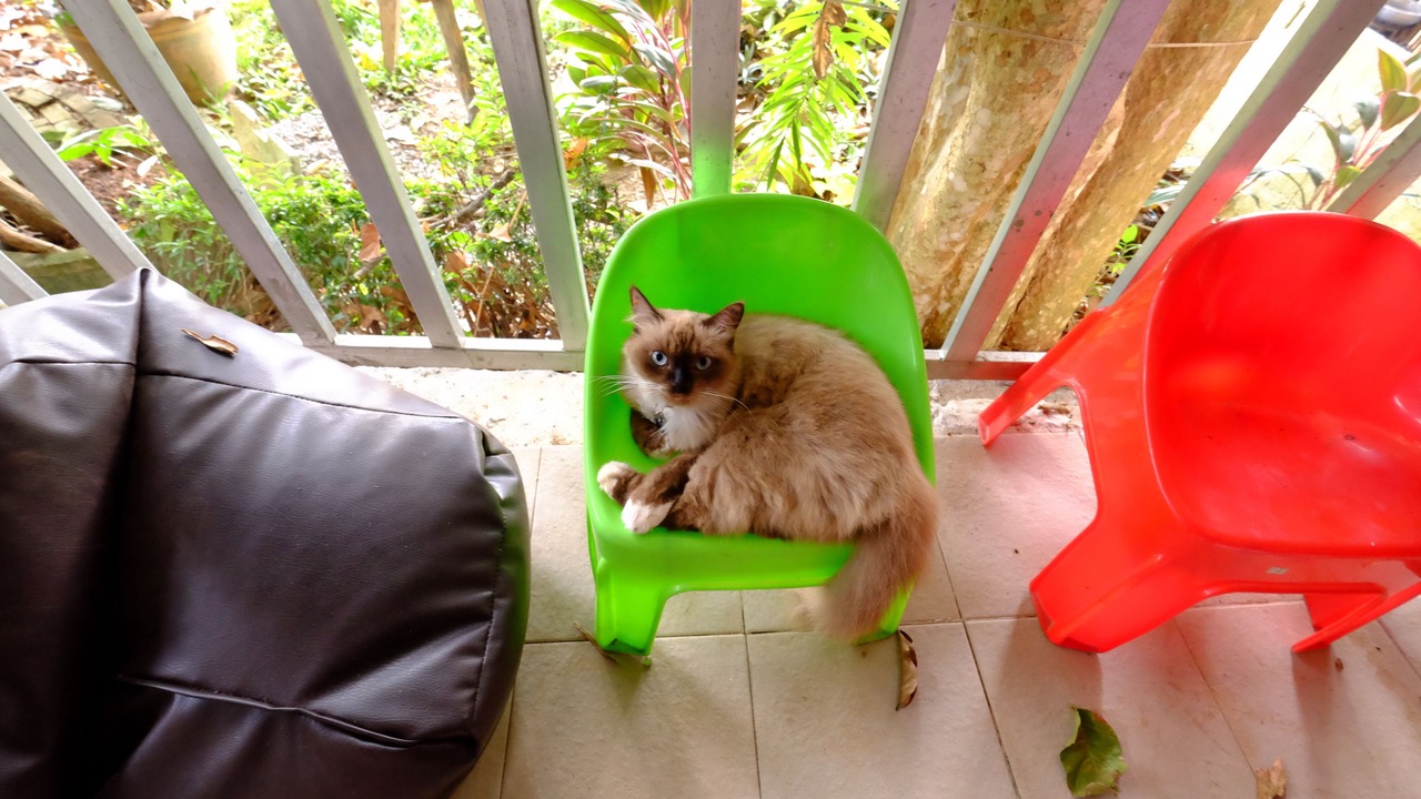 Photo of Patio Balcony in Ko Lanta