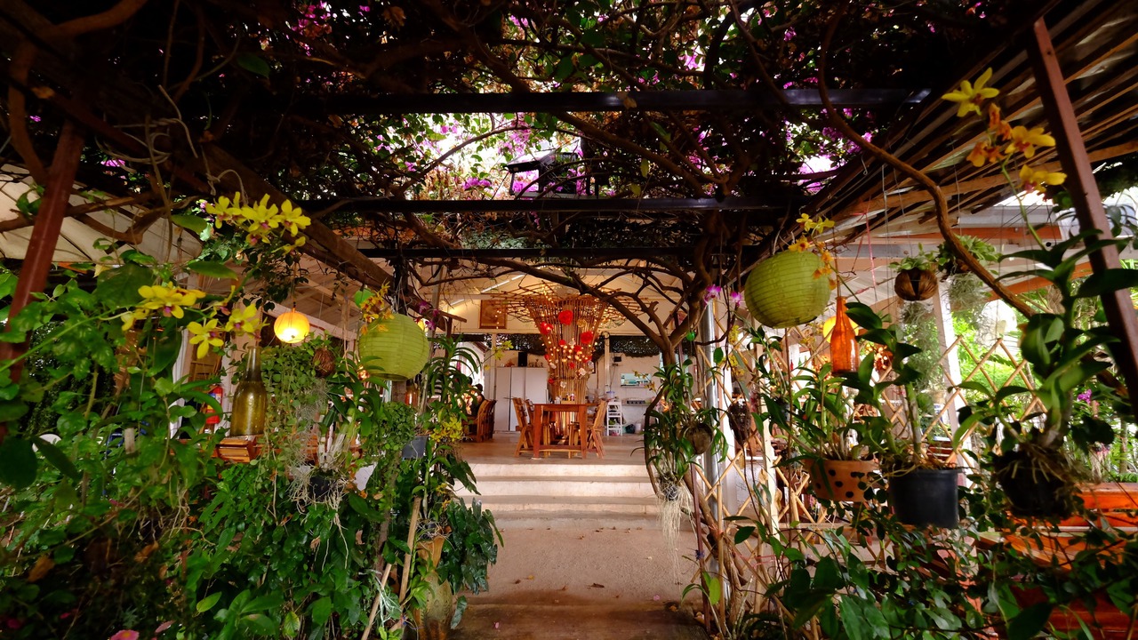 Photo of Others in Ko Lanta