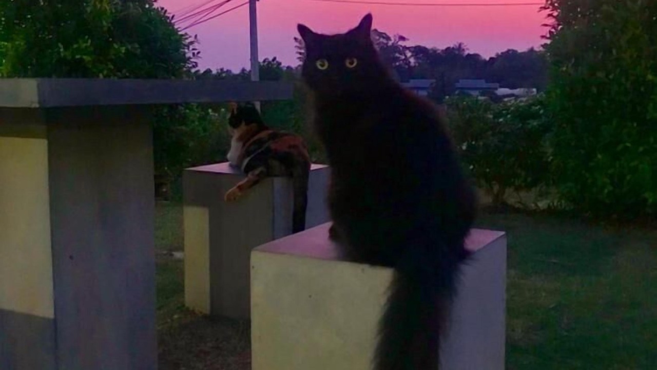 Photo of Outdoor in Ko Lanta