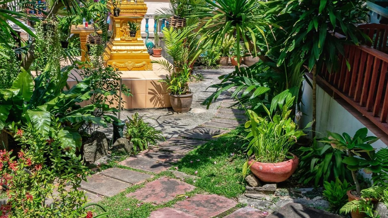Photo of Outdoor in Kata