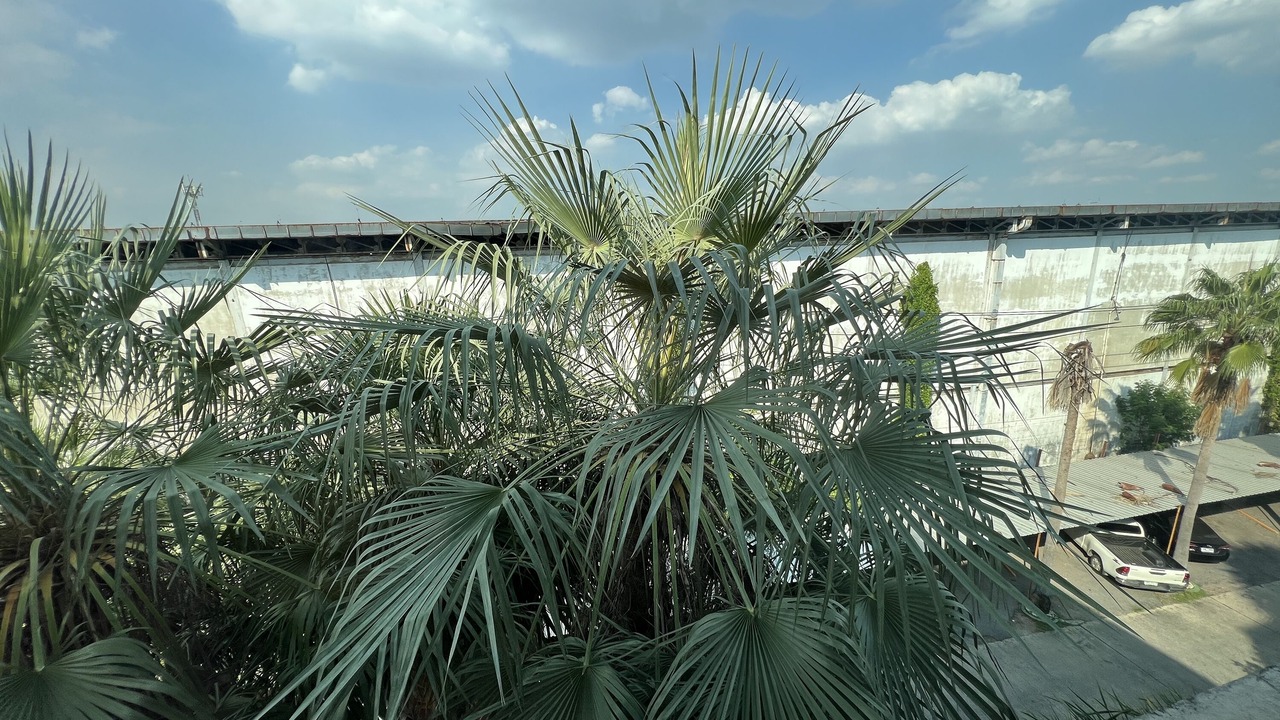 Photo of Bedroom in Samae Dam