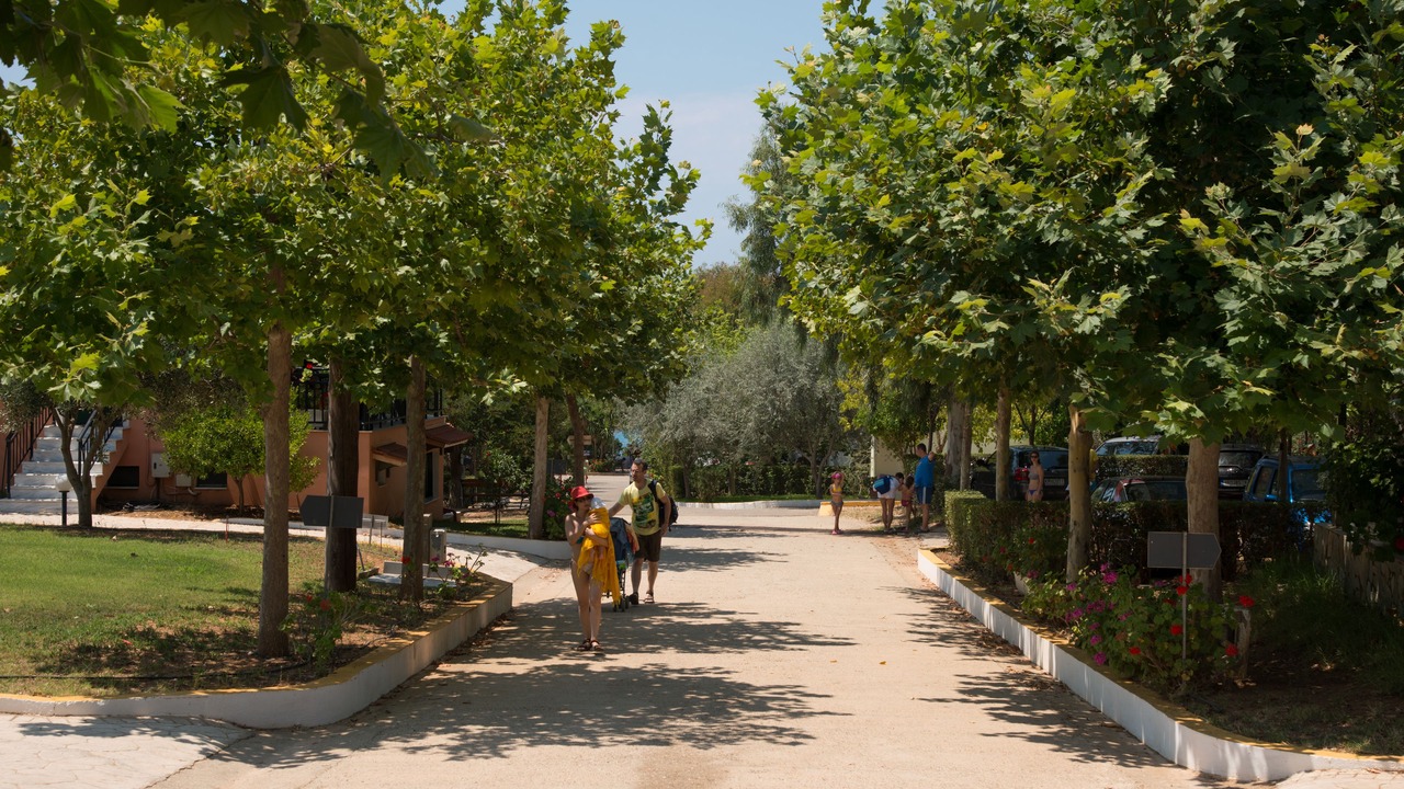 Photo of Outdoor in Andravida-Kyllini
