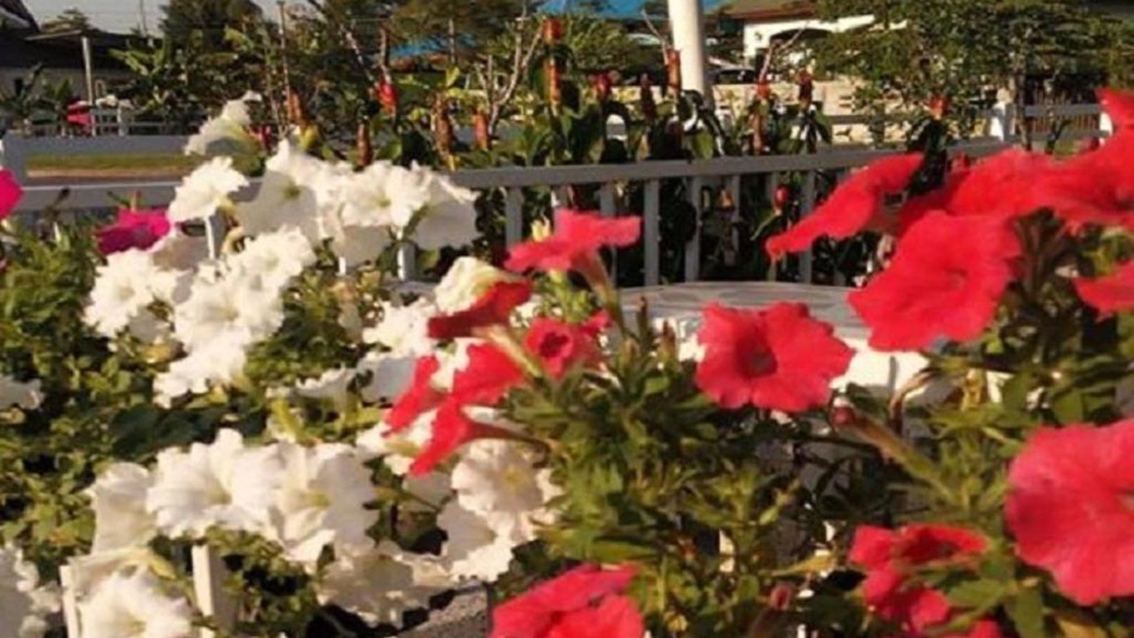 Photo of Outdoor in Sung Noen