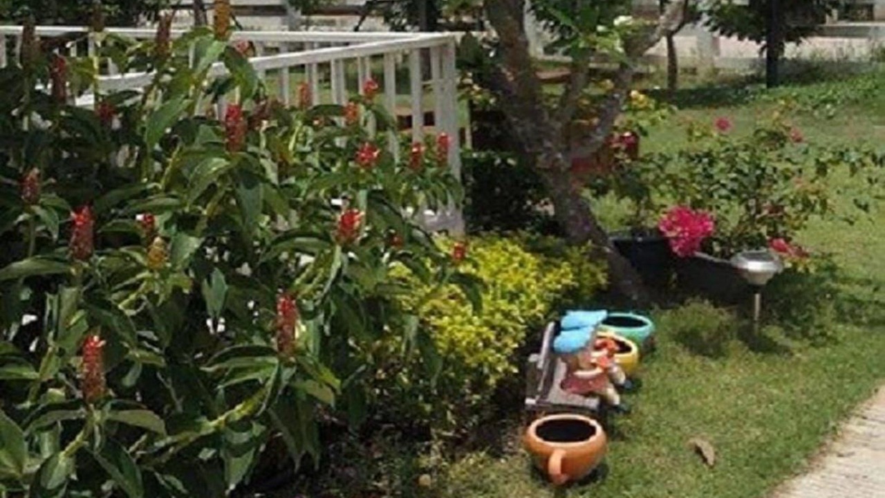 Photo of Outdoor in Sung Noen