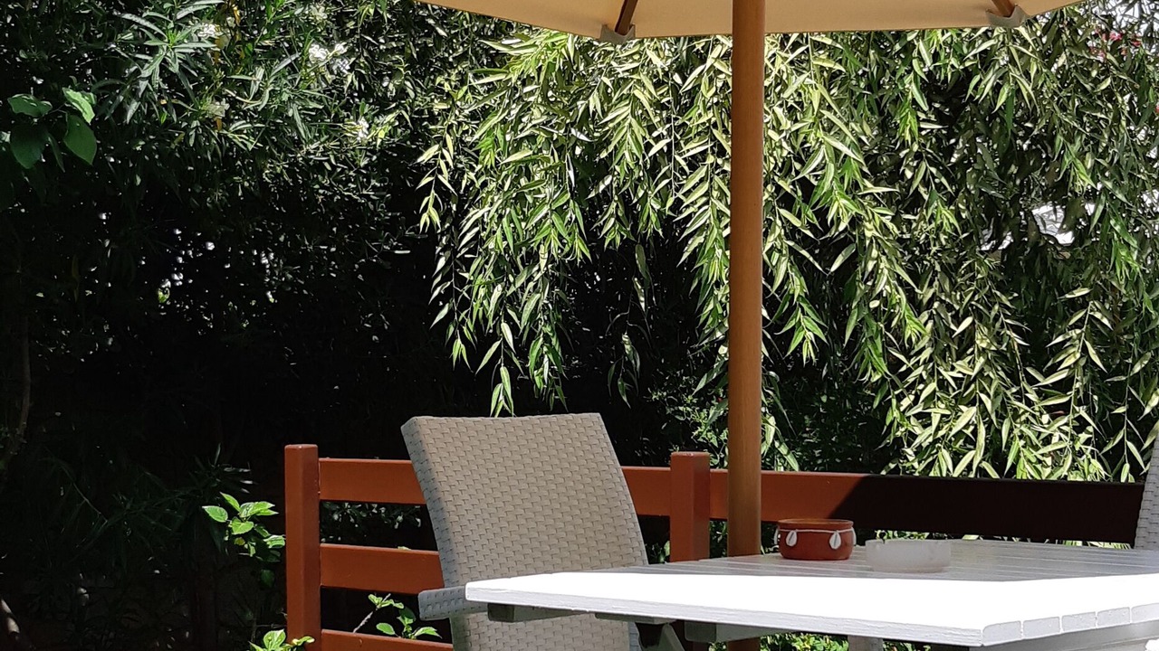 Photo of Outdoor in Skiros