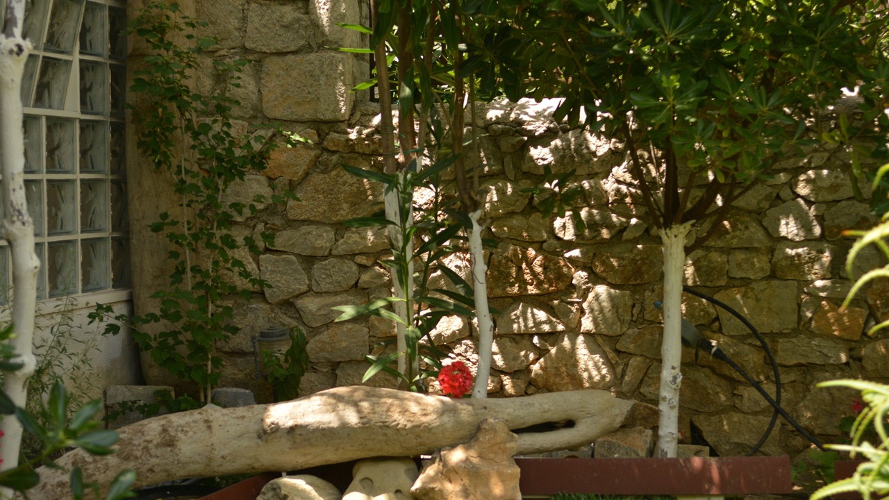 Photo of Outdoor in Skiros